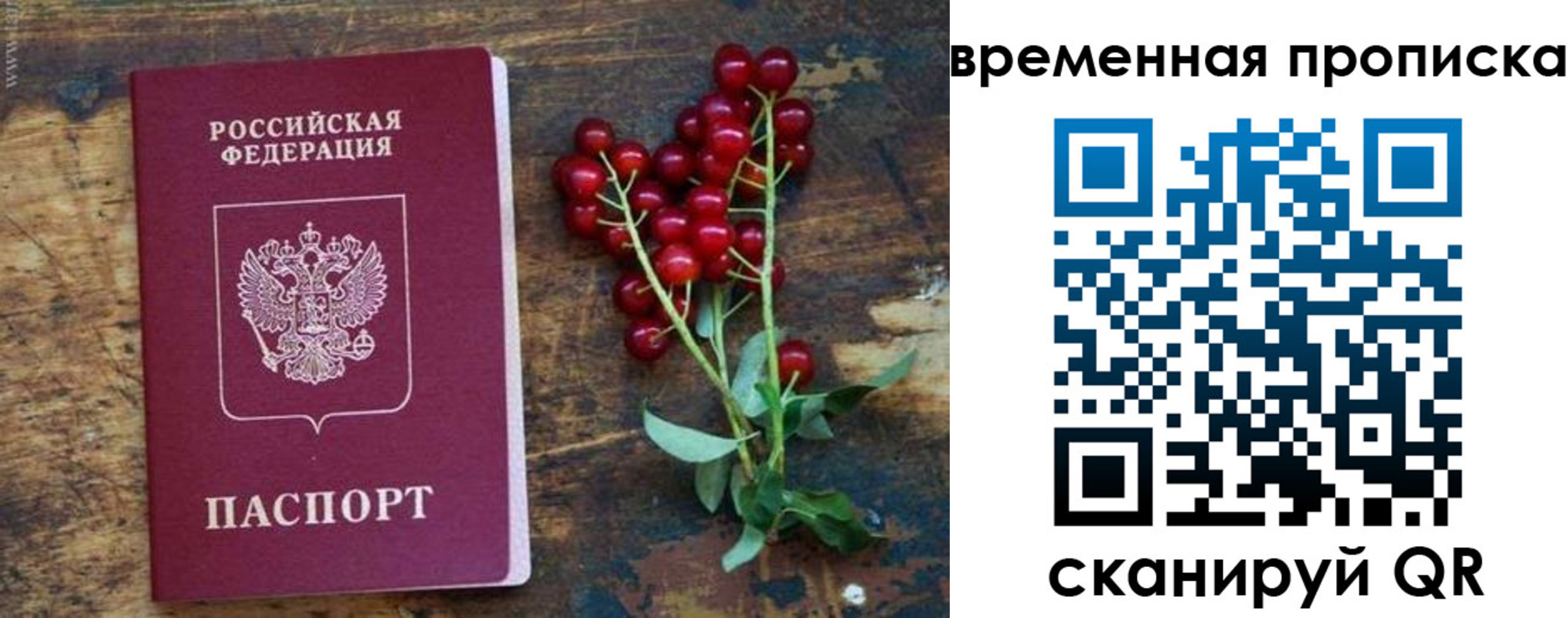 временная регистрация гарантия в Биробиджане